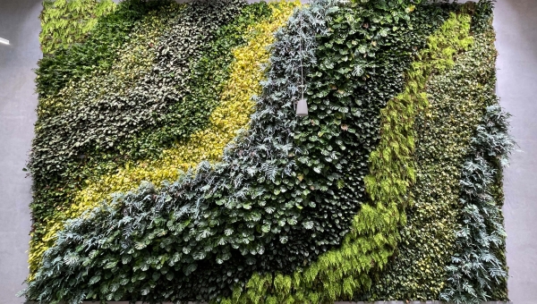 Theodor-Heuss-Schule, Wetzlar